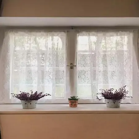 Apartment Artorius *